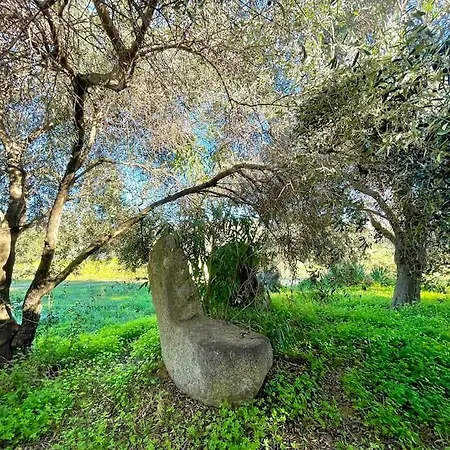 Seaside Vacation Appartamento *