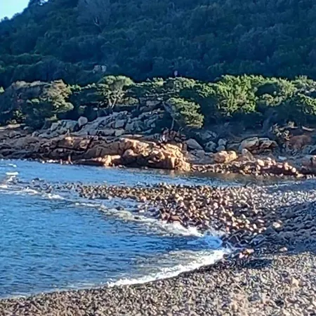 Seaside Vacation * Bari Sardo