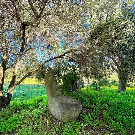 Seaside Vacation * Bari Sardo