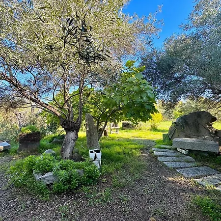 Seaside Vacation * Bari Sardo